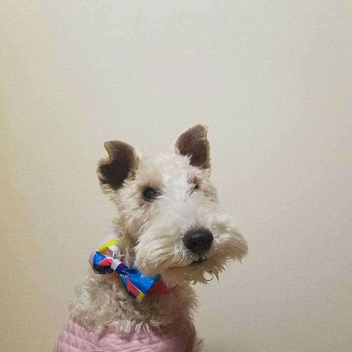 D5a29555 0c36 4ed2 a630 3f0dca811773 1580306437332