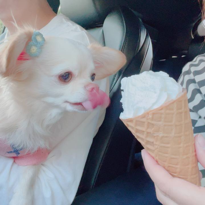 D5a2d42a 454e 4c04 afc1 66708b54db86 1700395593510