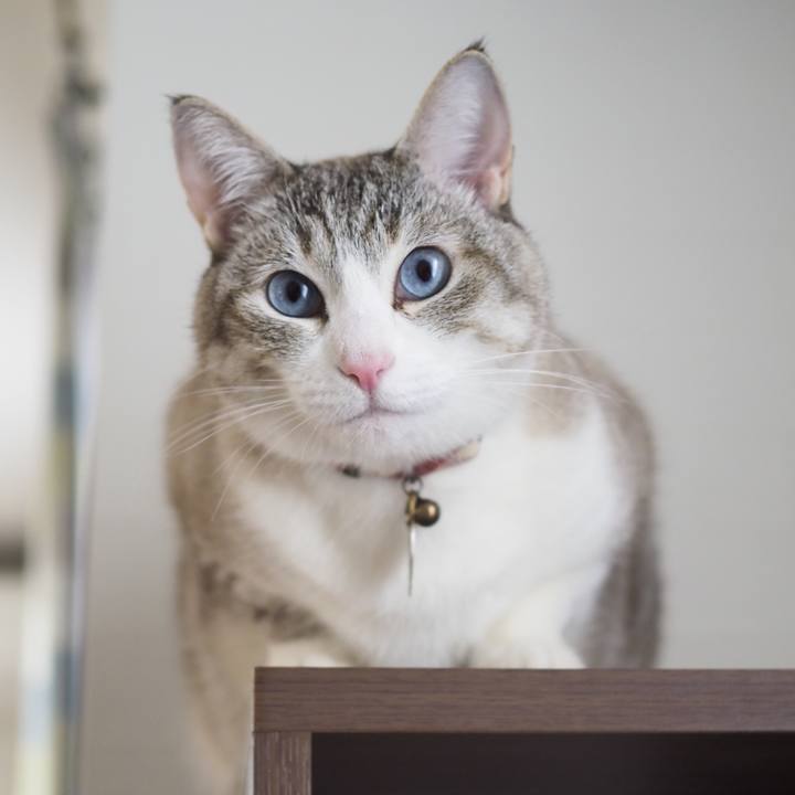 D5a30926 61f7 4041 85cf 8f8f4d52f632 1619045660405