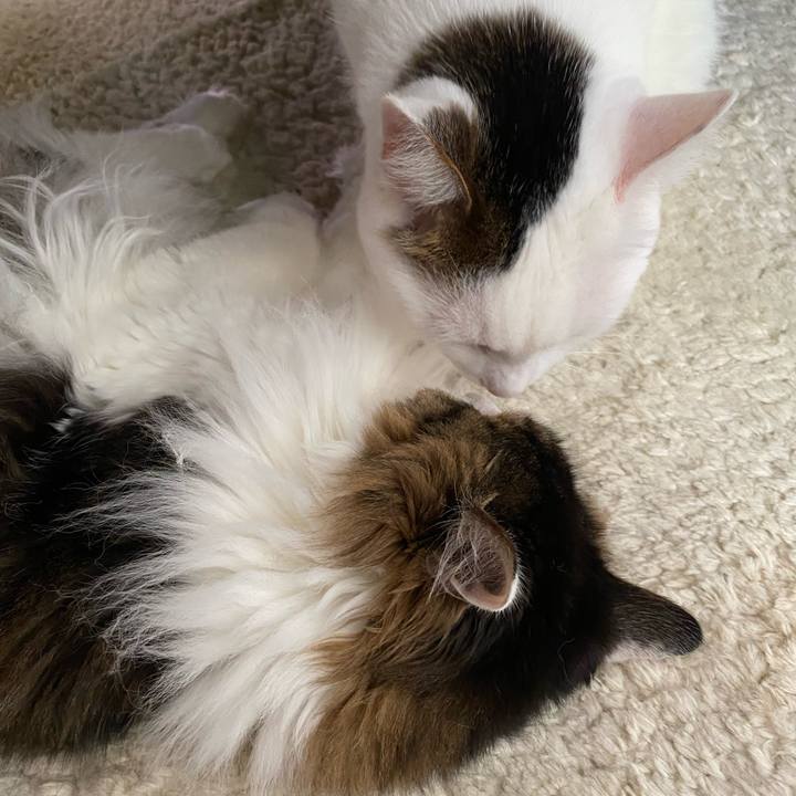 D5a30dab 7b10 480e 97a5 930056994609 1694584509376