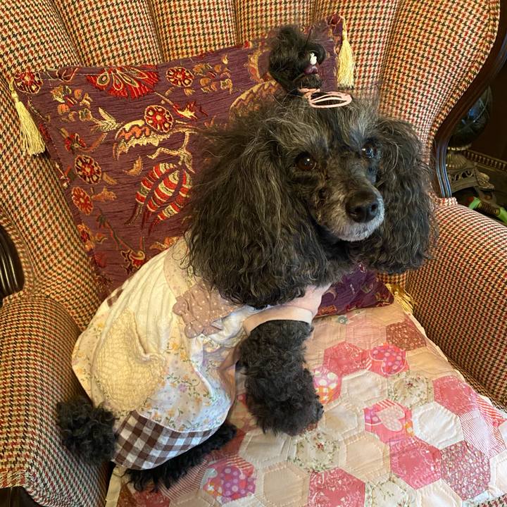 D5a3550e 765f 45e4 9aa7 e3da60836360 1747647947825