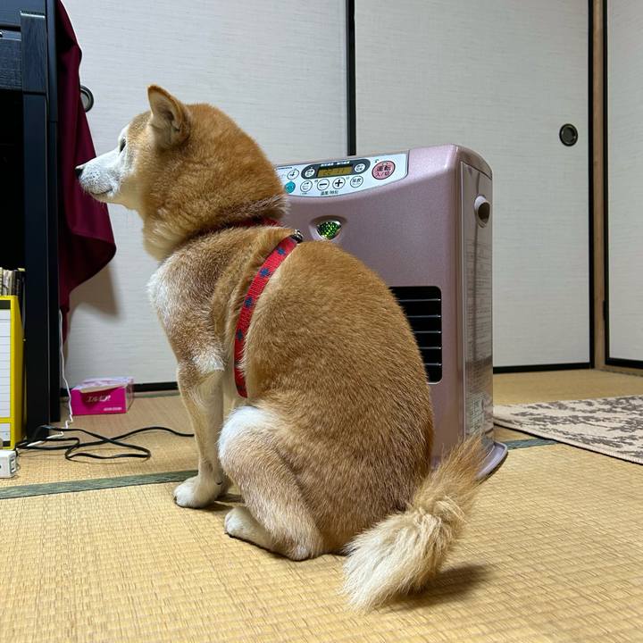 D5a366c7 c122 4661 a013 b4ec75a2e478 1733386080959