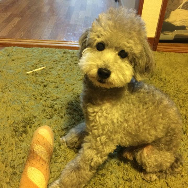 D5a38a53 ef31 4955 9e48 38ba7f0dada2 1757635708571