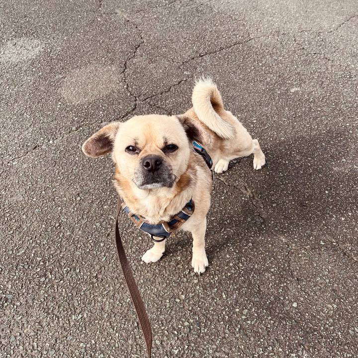 D5a3b5a5 13a8 453c 9ef3 25f84e9ed3f2 1767248043987