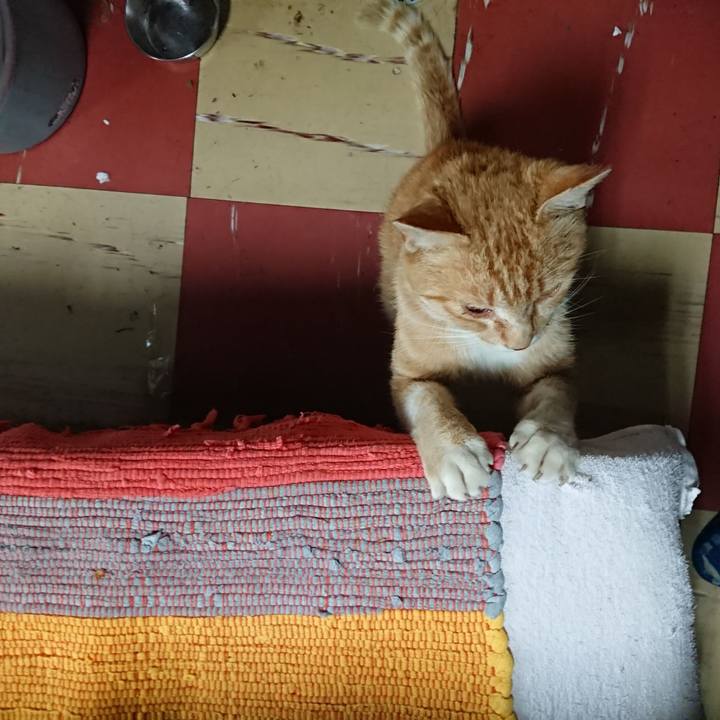 D5a3b93d b71f 4a04 a96c 2e9f55db3d31 1557909015249