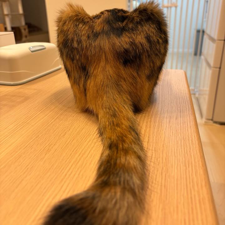 D5a3cfbe 8e53 4597 8e9e fd96e40e7f99 1763863432970