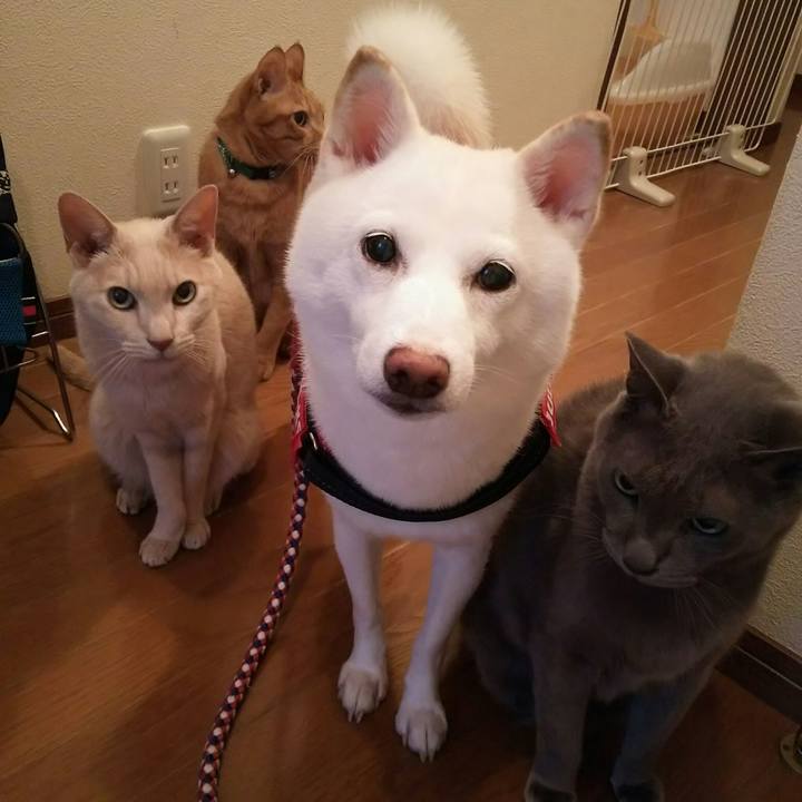 D5a41109 3add 4dc4 bf2d 865e7ad5b23f 1599986969282