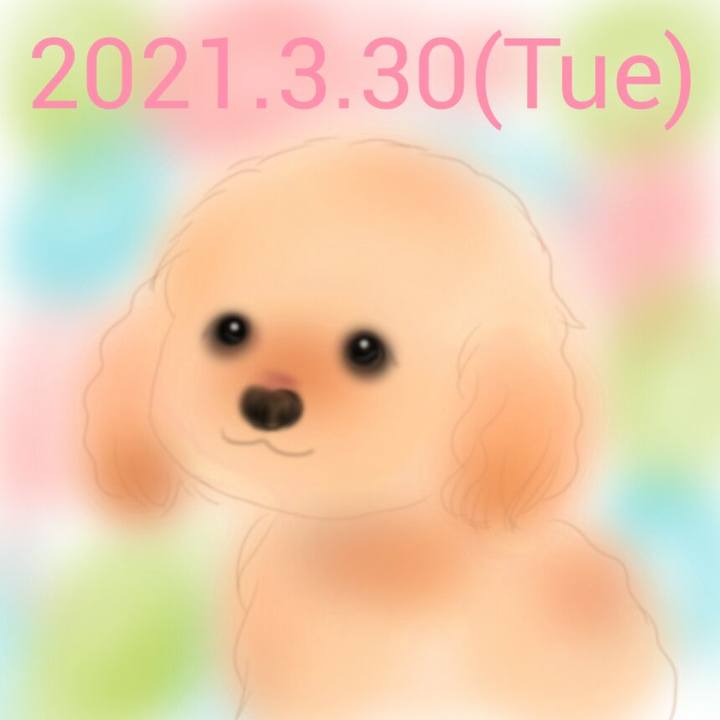 D5a422bb 6b68 4f72 a91e f4dd70e5aac2 1617108776267