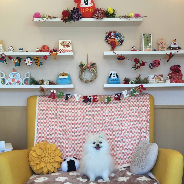 D5a498dd 5066 4494 b77c 87301a1ca149 1611289922194