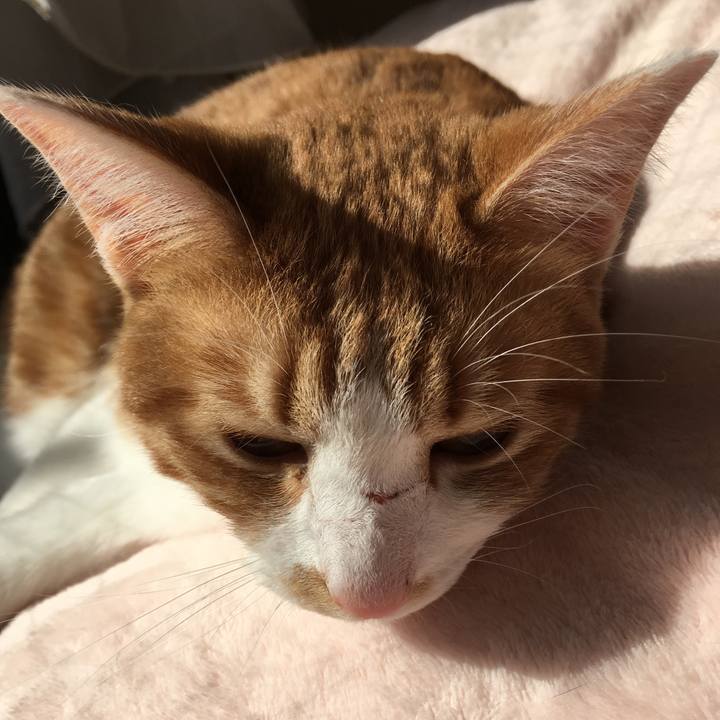 D5a49e11 8e7a 43e3 b2e8 7ee98fe4a918 1509795729936