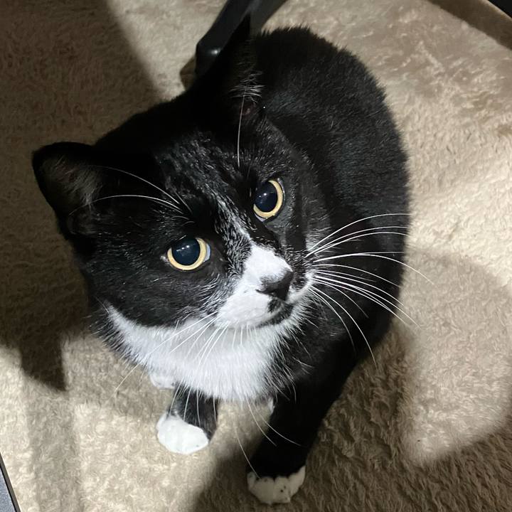 D5a4a0aa 379c 467d b9f6 ba2b35ea83fc 1733984728031