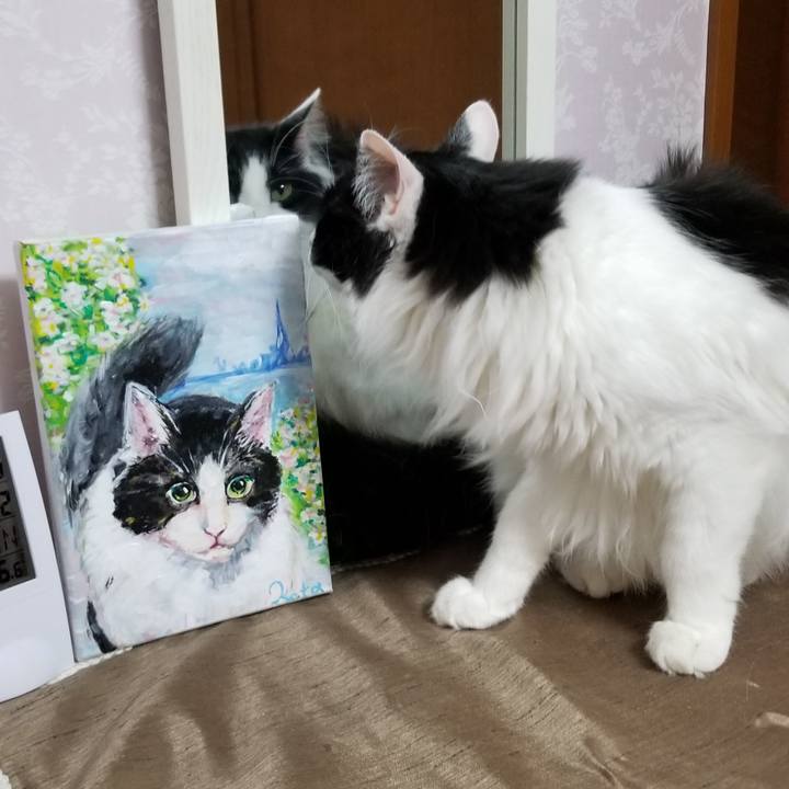 D5a4c0e4 c97e 46a4 8f67 4b2c3fff6f3a 1559511989389