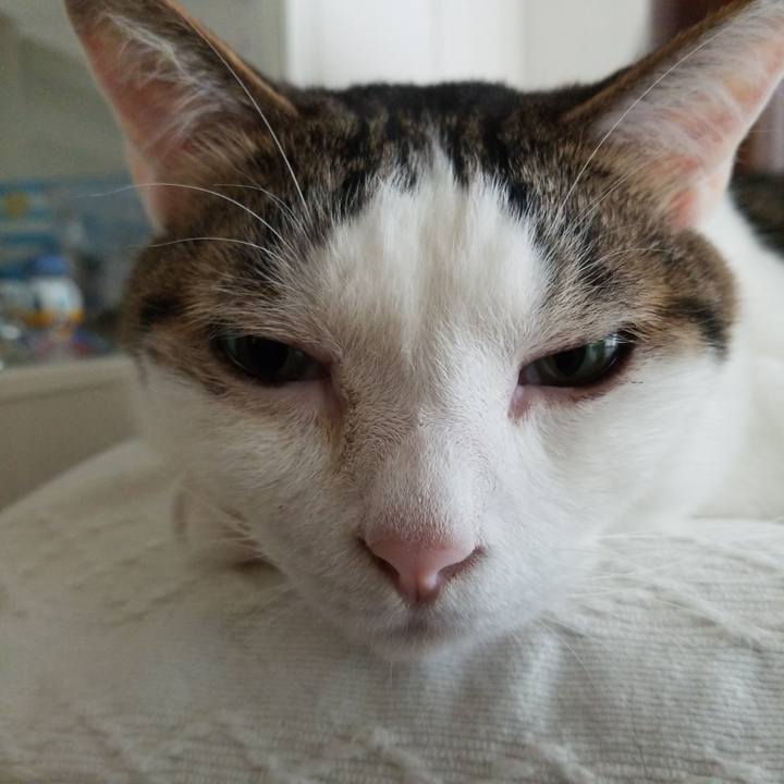 D5a4d3b5 e7ec 4c53 940e 94fcbfc60ebc 1558043105912