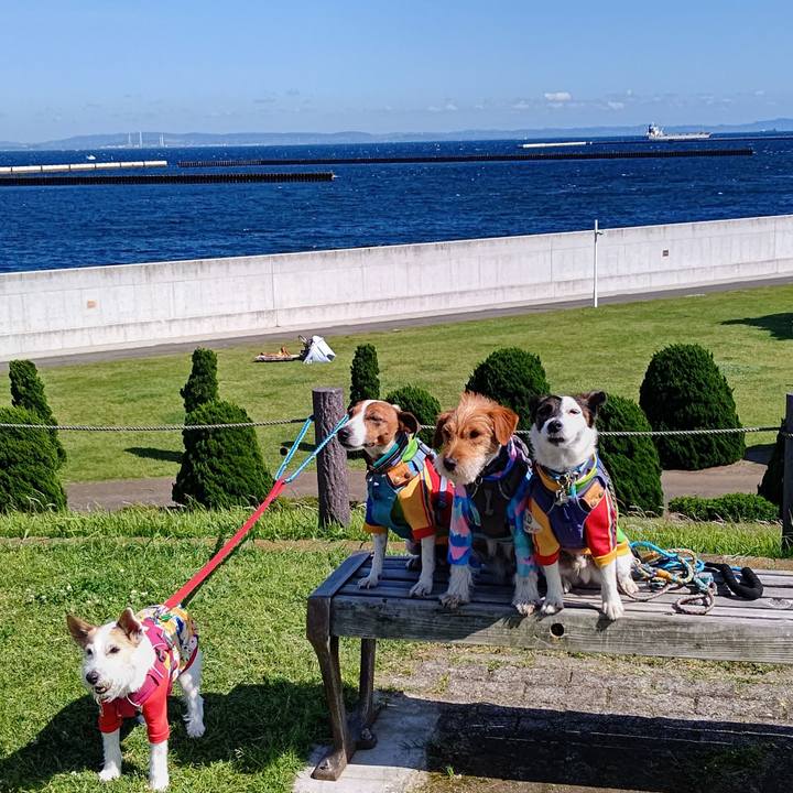 D5a4f3ba 420e 49a8 b91d f84759efecd1 1715436842008