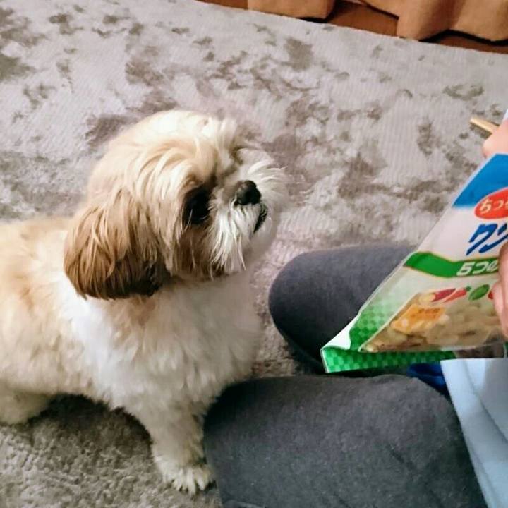 D5a4f9c6 f195 4841 ba7a d3d38fba7a2d 1546780285061