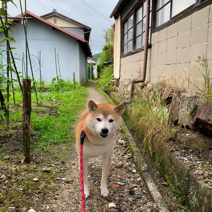 D5a52989 b82e 4cbb a59d aa8e157edc7e 1656238325738