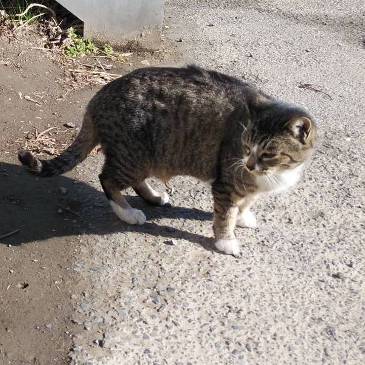 D5a5378d a7e8 4dff 9d77 2feb1b09dbdd 1583199111644