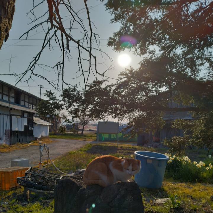 D5a55add fa00 4052 896e 31cbb2a96b43 1745712483154