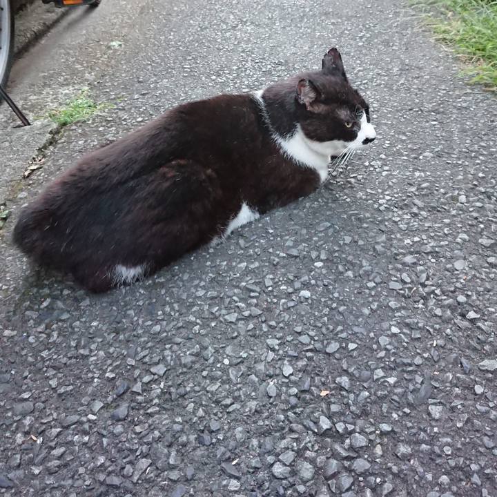 D5a5609a 7f47 4cc4 a5db ae1f6ade0077 1690367315694