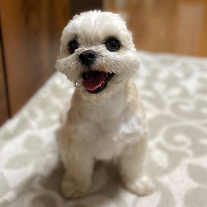 D5a56857 9922 4565 8aef 8594490ed7c6 1588855601841