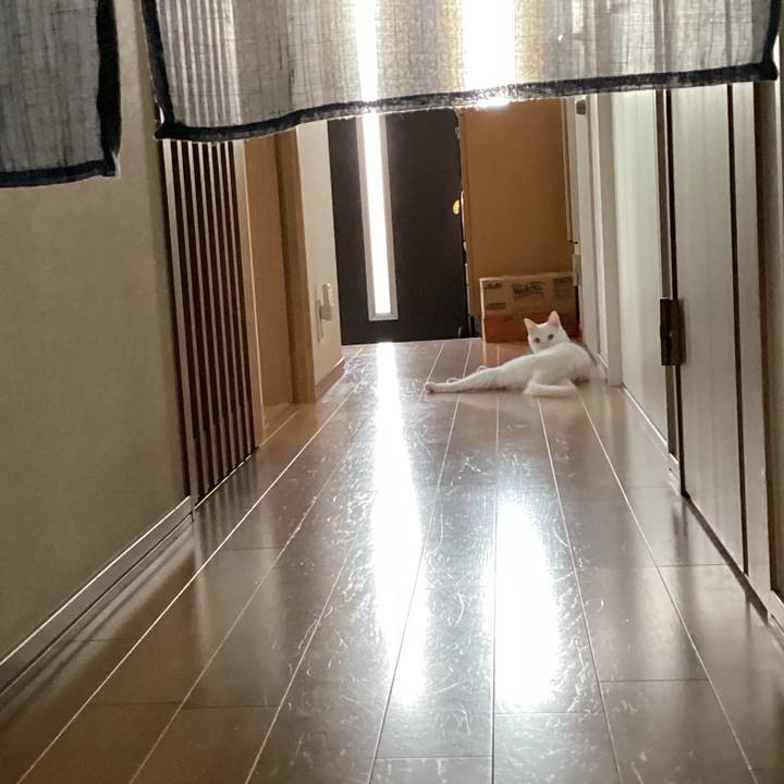 D5a573aa 170b 40b8 b5a6 672208cd1f84 1653874453748