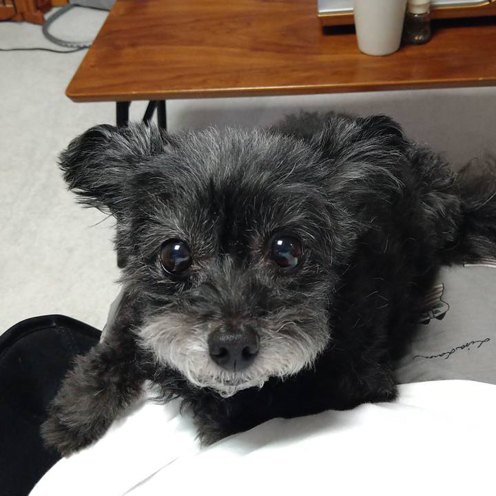 D5a59c0a bbd4 483c 8b8c e5cf70db36d2 1666005616770