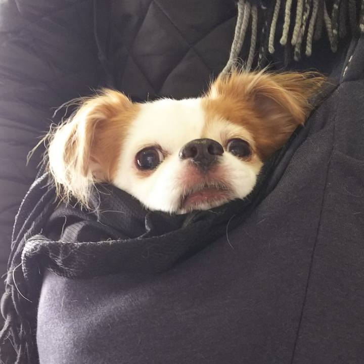 D5a5a473 1189 4dba 9dde 18124c8e65ca 1519540390291