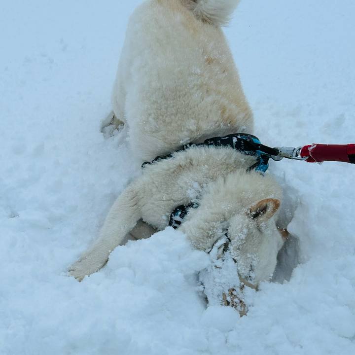 D5a5caa7 1c5d 4628 a913 117f20f4a134 1774044801005