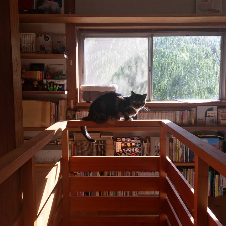 D5a5f8c8 437d 4659 9256 fde40abf57b4 1541079216236