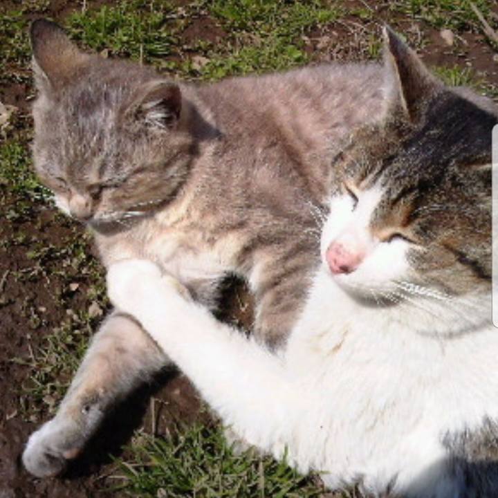 D5a60e9a 6a4c 46d8 a6a4 69a5343aa222 1550813380369