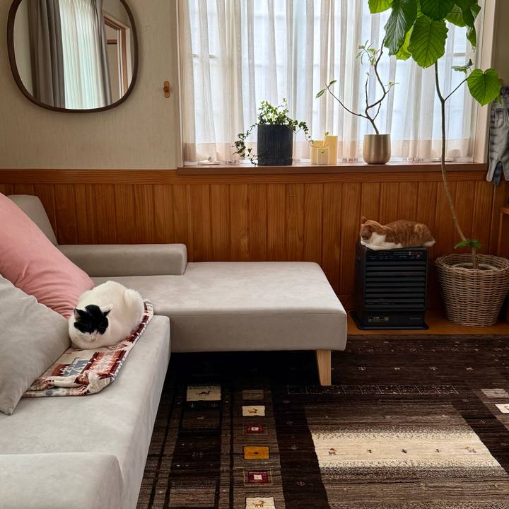 D5a640b7 5b8d 45e1 8938 e9748db35beb 1771984001219