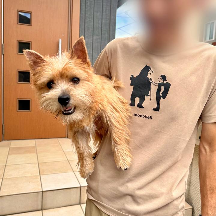 D5a65b28 7f4a 49bb a02e d26e3bb8311b 1726470262269