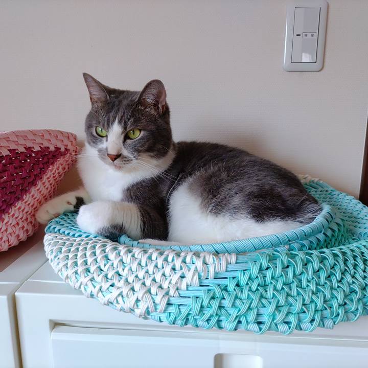 D5a667ed 9c72 4f2e b71c e9bcfcfa1317 1654992031319