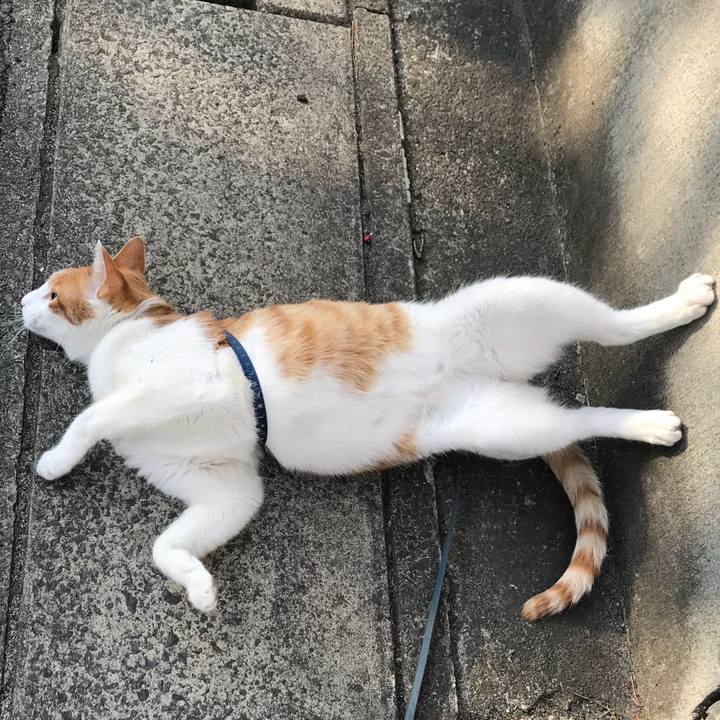 D5a6a232 d122 417c 8692 1539943d6b71 1516426565952