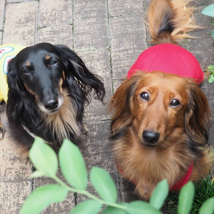 D5a6a307 b44c 4b8a a1fe ce8c888c0403 1758759775990