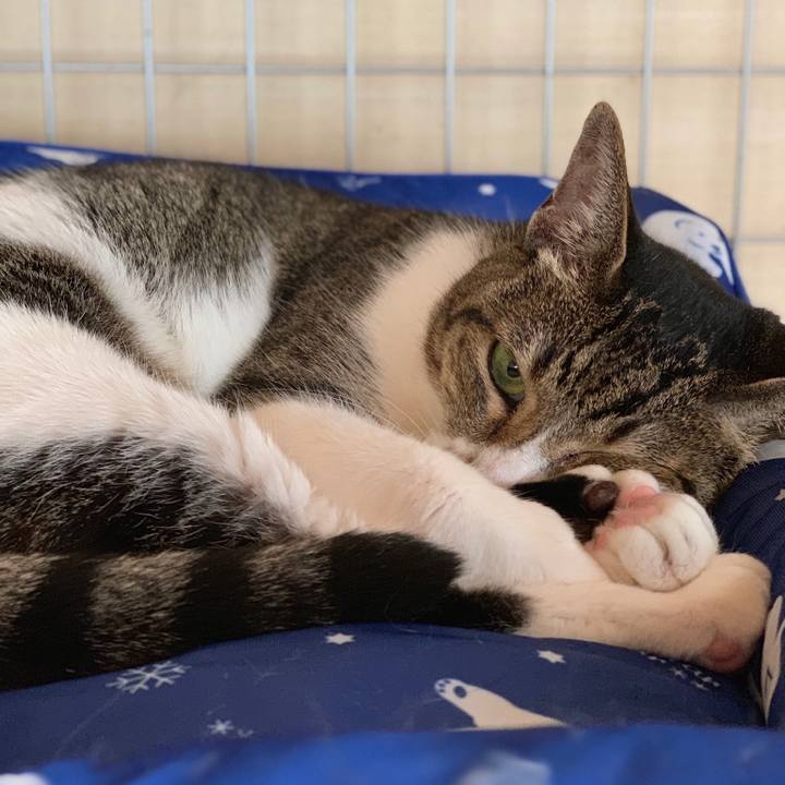 D5a715ef 9a39 4745 9304 9f47bfe0f898 1566088720501