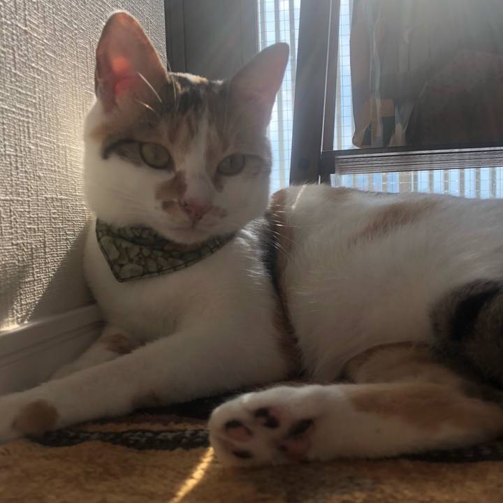 D5a7a8ec 1fdb 4150 abeb 74ab49498ba2 1597387440306