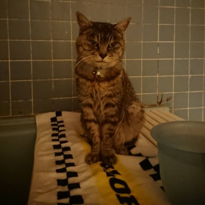 D5a7b5db 4612 4acb bf6d 1cd004cf2f84 1575535169623