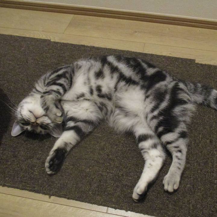 D5a7c857 e16f 469f 8600 2046e512d85d 1571021927595