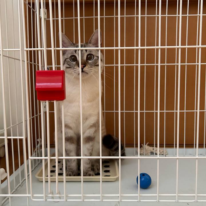 D5a7c8e1 f971 422e 97f4 f024f2d08f54 1749086509398