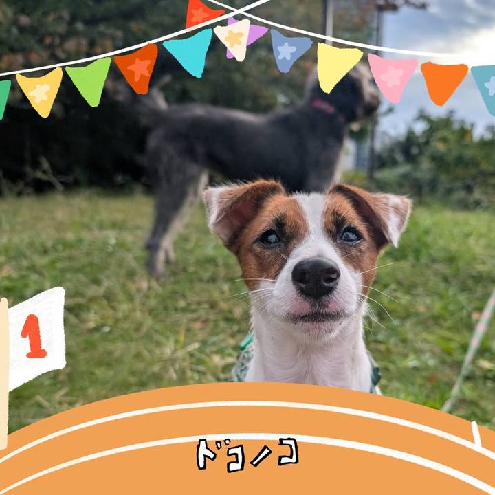 D5a7da28 c3a0 4c6d abde 9d257c023a9b 1762054143349