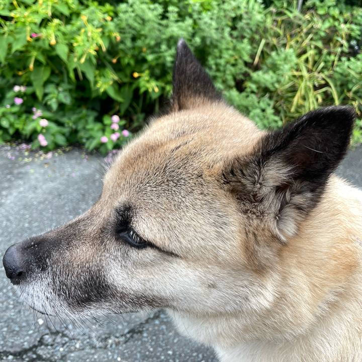 D5a7e3e0 20c3 4cb0 b780 689079906b4d 1721132982125