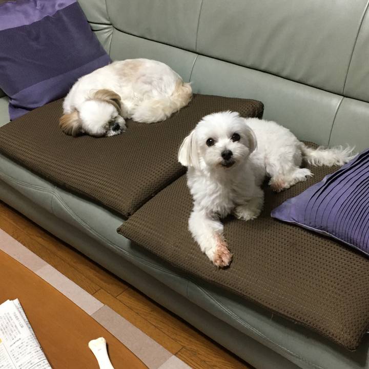 D5a7f15a d81e 4c15 b4d3 f486b134571e 1598103923695