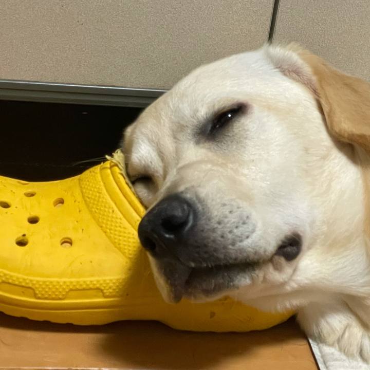 D5a82056 b2a0 465c 9701 13d45feefbe4 1623708647667