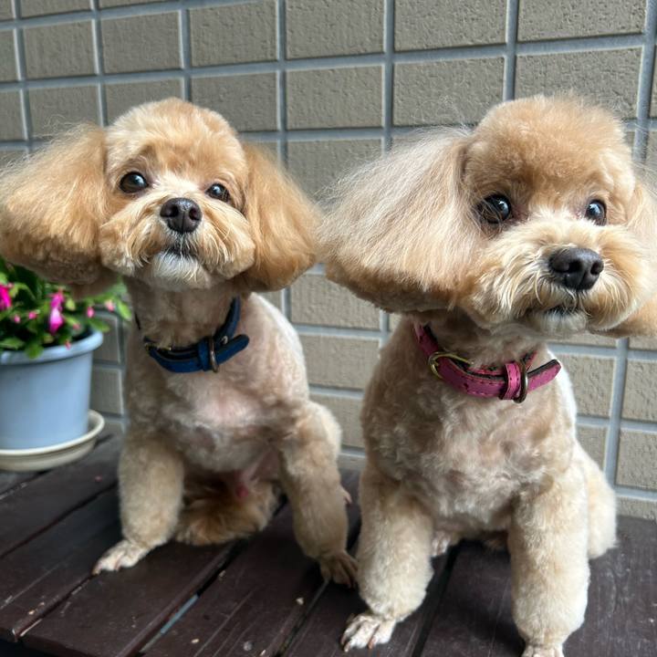 D5a83231 bf91 4fc4 b665 abf3b64169cb 1731728334463