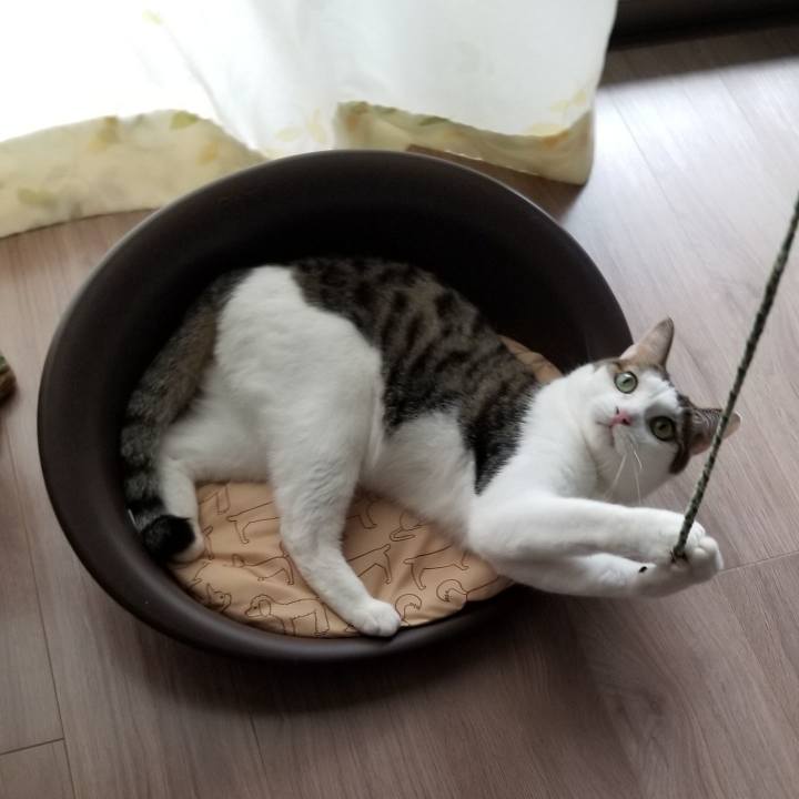 D5a8472a 5a72 47fc 8f42 5a752aaa10a3 1559459346274