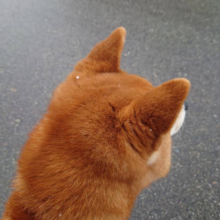 D5a87649 aa7a 4a8e a67e 2e823302f8f3 1769221129874