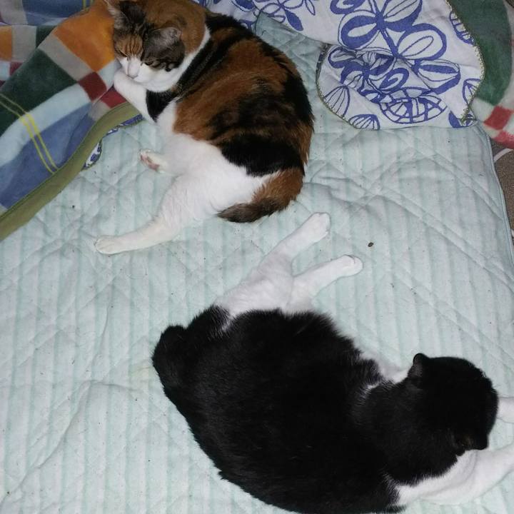 D5a8a68c a23e 409b ad01 0a5b0084915f 1537660270717