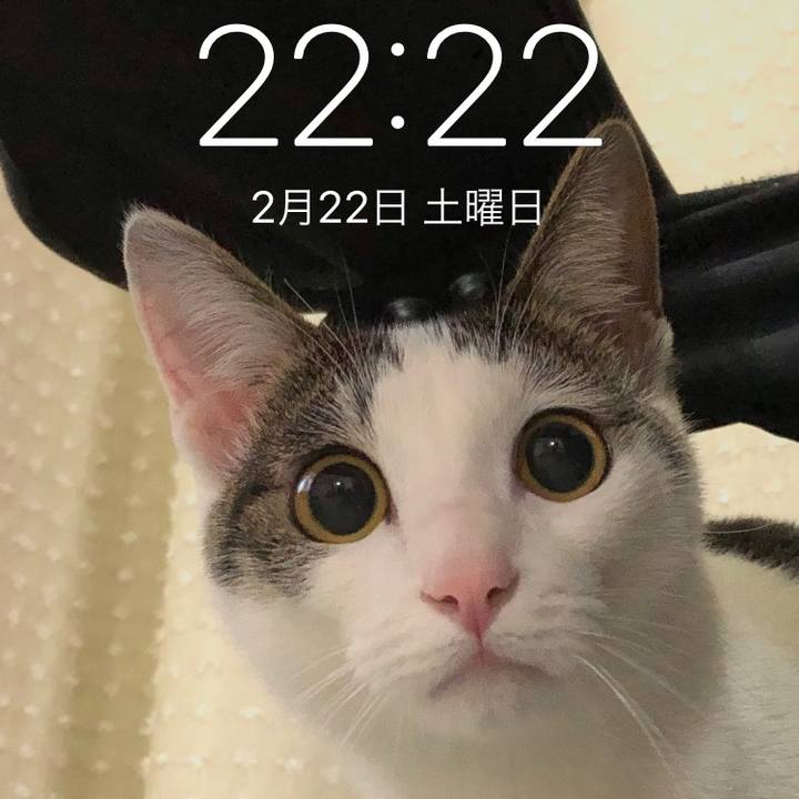 D5a8afa1 a714 4344 877f 4070881d0b0d 1582377845565