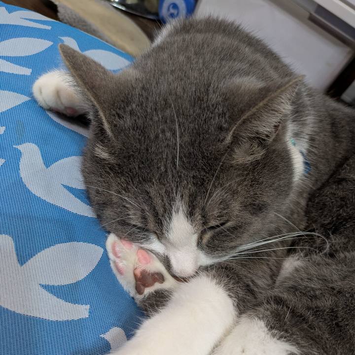 D5a8ee0f 6996 4f42 bdea 775874270819 1746710056023